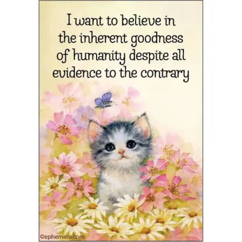 “I Want To Believe” Magnet
