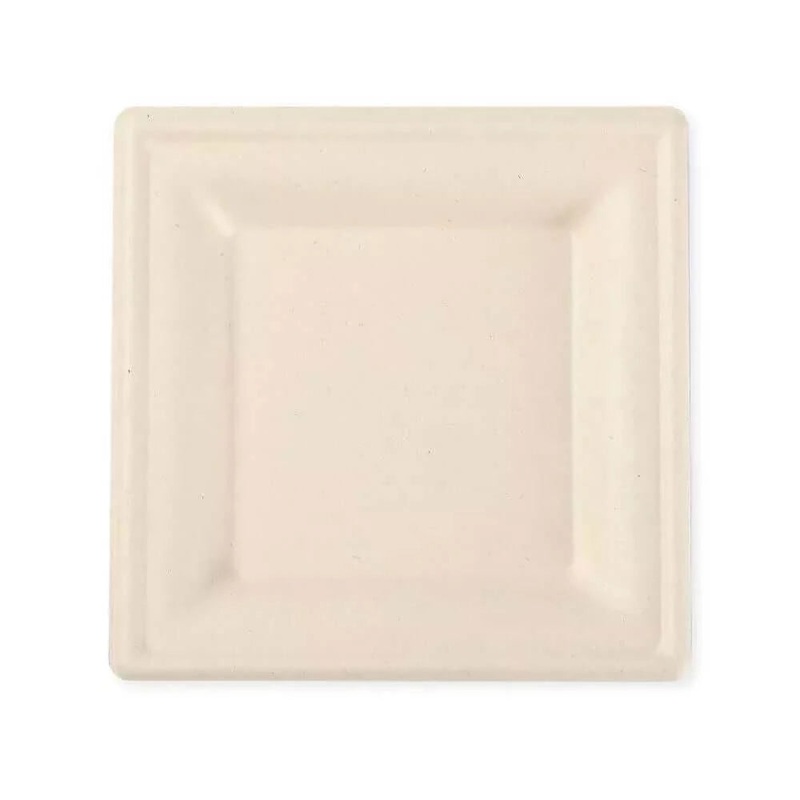 10 inch Square Plate 500 carton