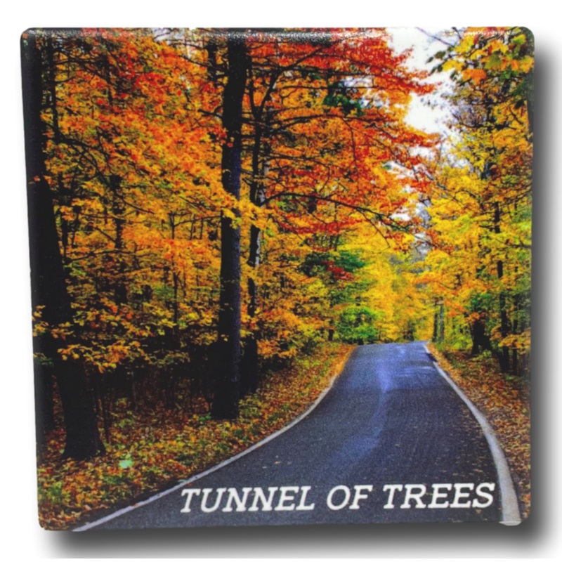 Tunnel Of Trees Coaster