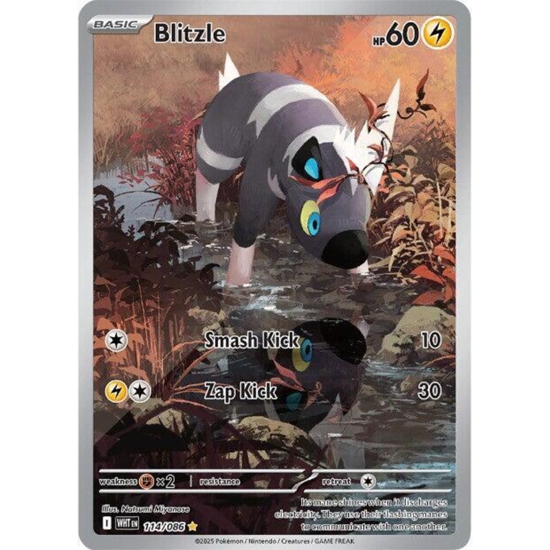 Blitzle (IR) – 114/086 – White Flare – English