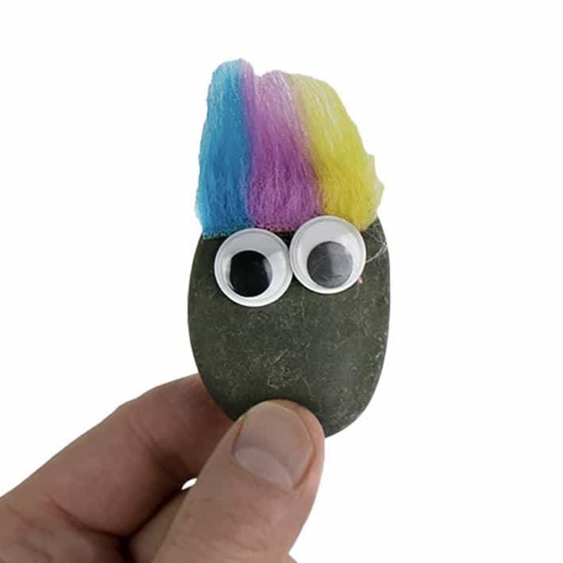 Worlds Smallest Pet Rock